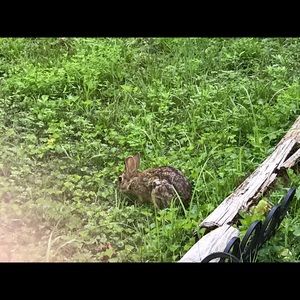 Meet your Posher, Ruth